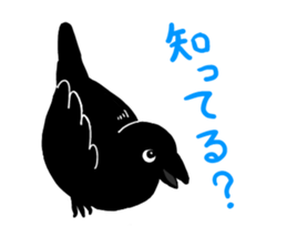 funny crows sticker #1677760