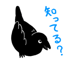funny crows sticker #1677760