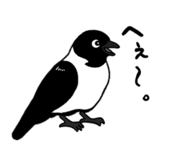 funny crows sticker #1677762