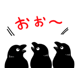 funny crows sticker #1677763