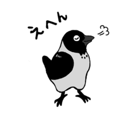 funny crows sticker #1677770