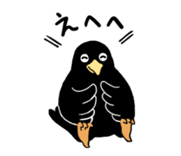 funny crows sticker #1677771