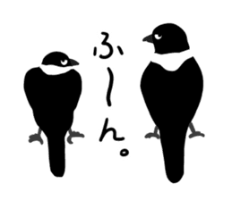 funny crows sticker #1677774