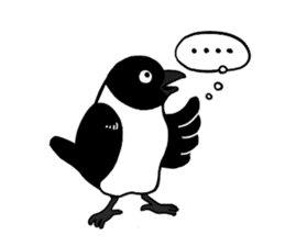 funny crows sticker #1677778