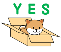 Hakoiri Shiba-chan sticker #1678146