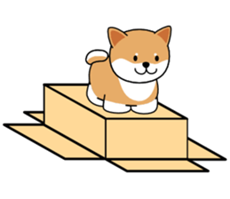 Hakoiri Shiba-chan sticker #1678151