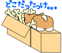 Hakoiri Shiba-chan sticker #1678152