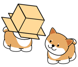 Hakoiri Shiba-chan sticker #1678154