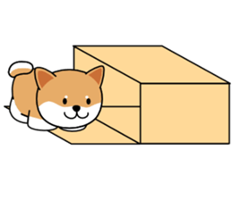 Hakoiri Shiba-chan sticker #1678155