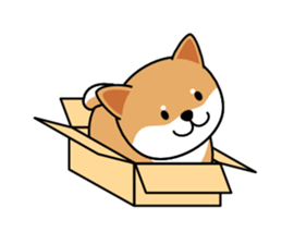Hakoiri Shiba-chan sticker #1678156