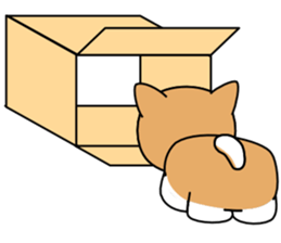 Hakoiri Shiba-chan sticker #1678157