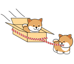 Hakoiri Shiba-chan sticker #1678158
