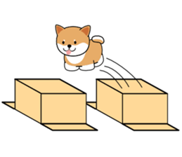 Hakoiri Shiba-chan sticker #1678159