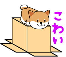 Hakoiri Shiba-chan sticker #1678160