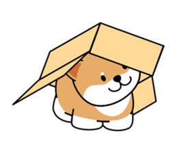 Hakoiri Shiba-chan sticker #1678161