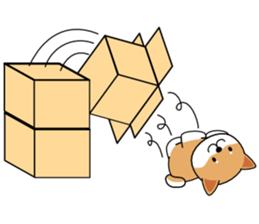 Hakoiri Shiba-chan sticker #1678164