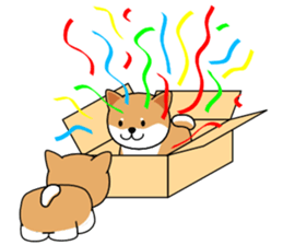 Hakoiri Shiba-chan sticker #1678167