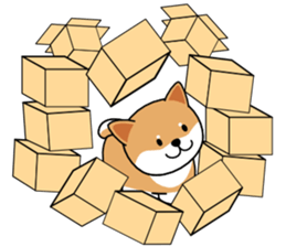 Hakoiri Shiba-chan sticker #1678168