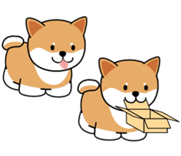 Hakoiri Shiba-chan sticker #1678171