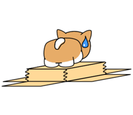 Hakoiri Shiba-chan sticker #1678172