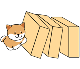 Hakoiri Shiba-chan sticker #1678173