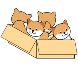 Hakoiri Shiba-chan sticker #1678174