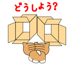 Hakoiri Shiba-chan sticker #1678178