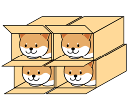 Hakoiri Shiba-chan sticker #1678179