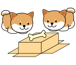 Hakoiri Shiba-chan sticker #1678184