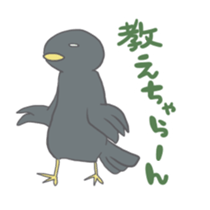 Crow speaking dialect of Hiroshima sticker #1679987