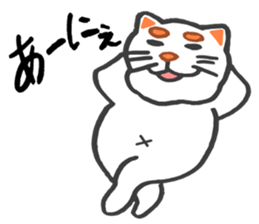 Fat cat the meeeew sticker #1681699