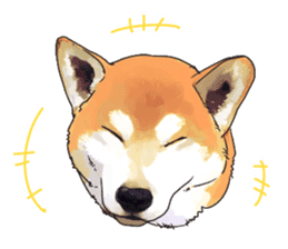 Japanese Shiba Inu Sticker sticker #1682038