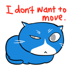 blue-white cat sticker #1683260