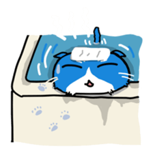 blue-white cat sticker #1683269