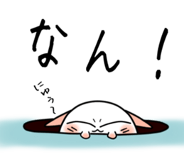 Still no name sticker #1684694