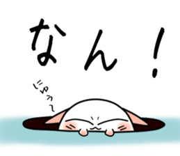 Still no name sticker #1684694