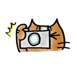 A cat named Torata sticker #1685660