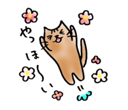A cat named Torata sticker #1685668
