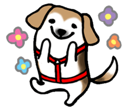 MY SWEET DOG sticker #1686834
