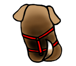 MY SWEET DOG sticker #1686872