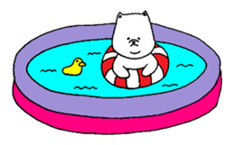 Pomeranian with Colorful Tights Part.3 sticker #1695131