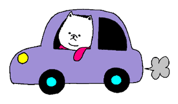 Pomeranian with Colorful Tights Part.3 sticker #1695152