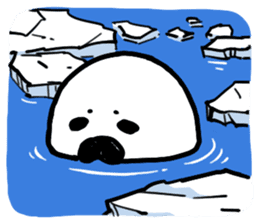 Baby Seal sticker #1695574