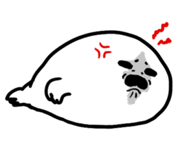 Baby Seal sticker #1695579