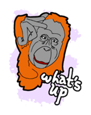 monkeys sticker #1696170