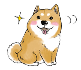 THE SHIBA INU!! sticker #1696577