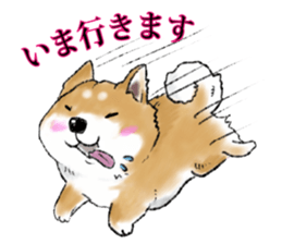 THE SHIBA INU!! sticker #1696578