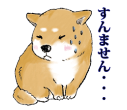 THE SHIBA INU!! sticker #1696579