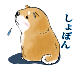 THE SHIBA INU!! sticker #1696580