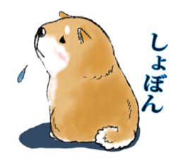 THE SHIBA INU!! sticker #1696580